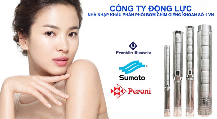 Bơm chìm giếng khoan (bơm hỏa tiễn)