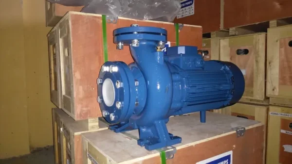 Bơm tưới rau sân thượng: chọn loại nhỏ gọn tiết kiệm